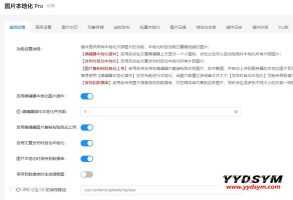WordPress外链图片本地化插件nicen-localize-image PRO v2.0.8版